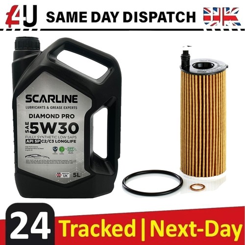 Car service engine - engine, oil